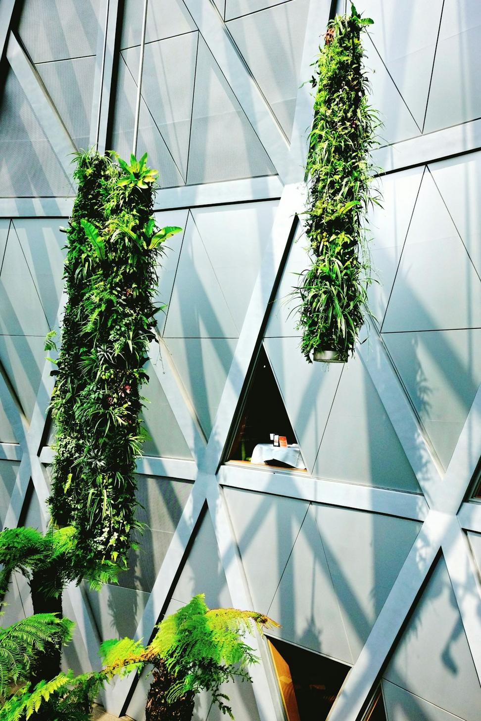 LEED Platinum Office Tower